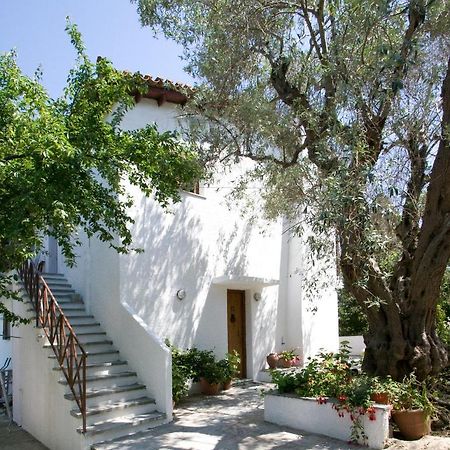 Villas Alexandra Skiathos Platanias  Eksteriør bilde
