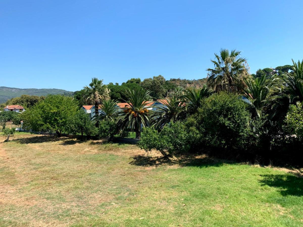 Villas Alexandra Skiathos Platanias  Eksteriør bilde