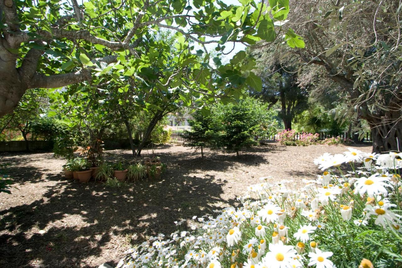 Villas Alexandra Skiathos Platanias  Eksteriør bilde