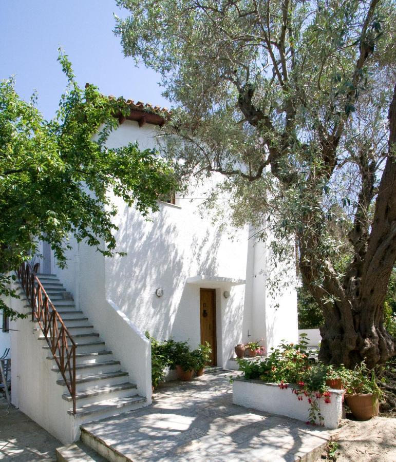 Villas Alexandra Skiathos Platanias  Eksteriør bilde