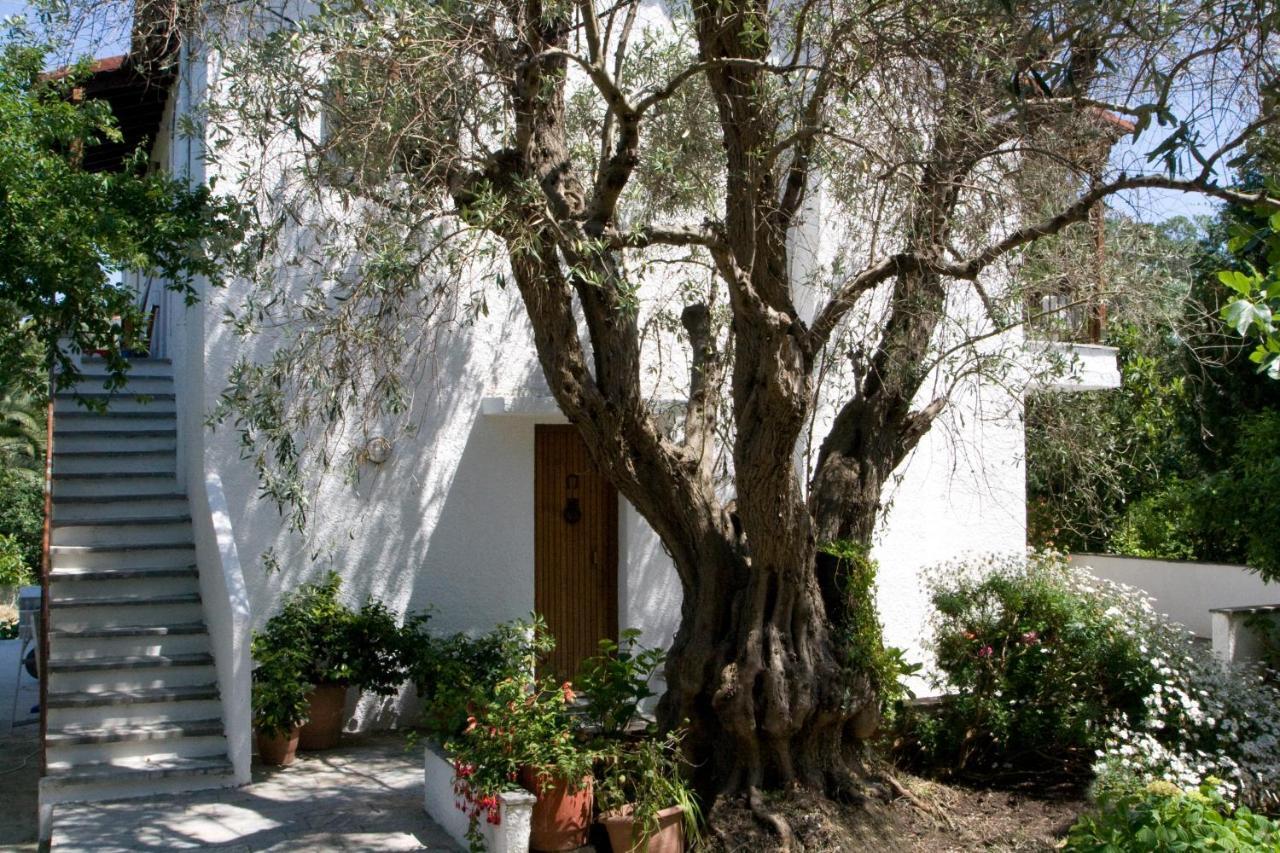 Villas Alexandra Skiathos Platanias  Eksteriør bilde
